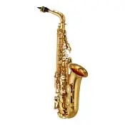 Quantité Limitée Saxophones