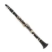 Clarinettes Produit De Marque