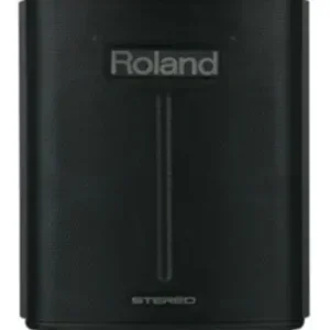 Seulement Aujourd'hui Roland BA330