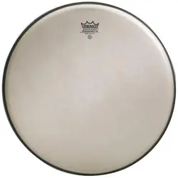 DISCONTINUE Remo RA-0020-SS - Peau Renaissance ambassador 20 Prix Cassé