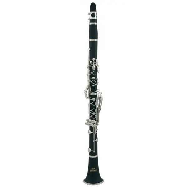 Roy Benson CB-317 - Clarinette Sib d‘étude en ébonite avec étui Offre Exclusive