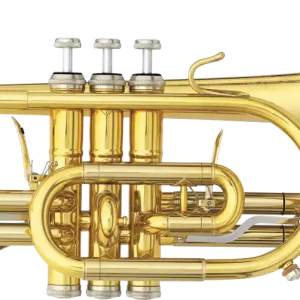 B&S 3142/2-GL Brochon - cornet Sib - verni Retour Gratuit