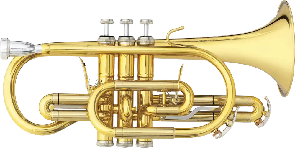 B&S 3142/2-GL Brochon - cornet Sib - verni Retour Gratuit