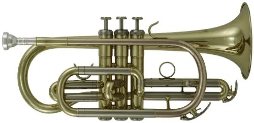 Roy Benson CR-202 - cornet Sib student pro series verni Meilleure Vente