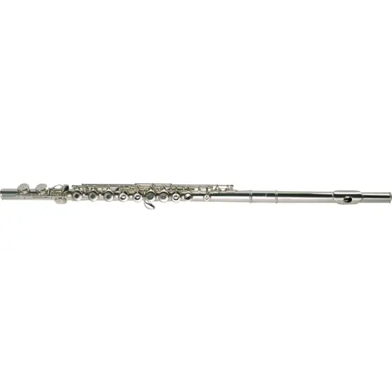 Pearl Flûte 695R Dolce - Flûte avec tête et plaque argent massif 925 Prix Cassé