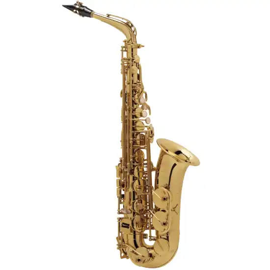 Selmer Super Action 80 série II verni gravé - Saxophone alto professionnel avec étui et bec complet Offre Limitée