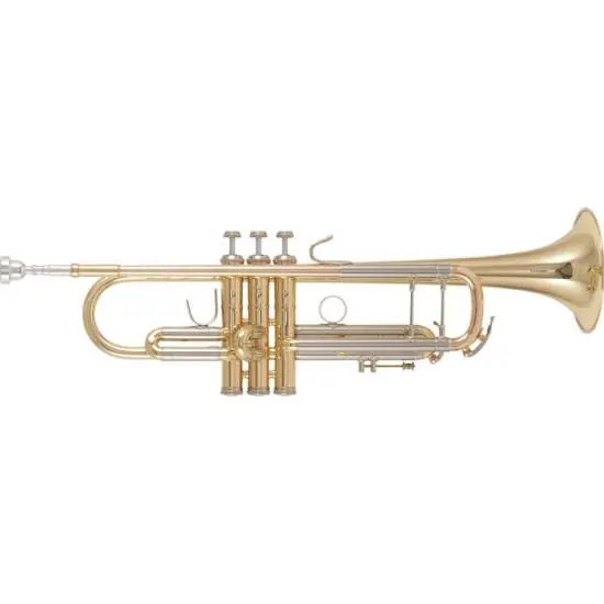 Offre Limitée B&S 3137 Challenger I - Trompette Sib - vernie