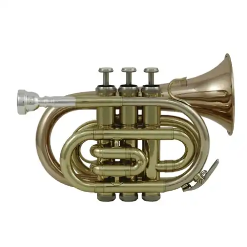 Roy Benson PT-101 - Trompette de poche Sib - vernie Super Prix