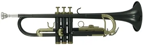 Top Vente Roy Benson TR-101K - Trompette Sib noire