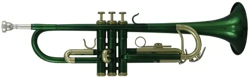 Meilleur Prix Roy Benson TR-101E - Trompette Sib verte