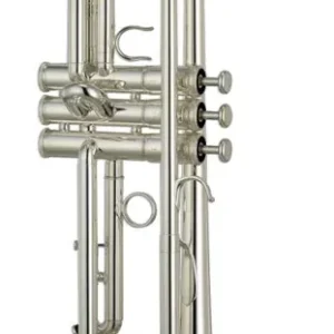 Commander Maintenant Yamaha YTR-8310ZS 03 - Trompette Sib - Argentée