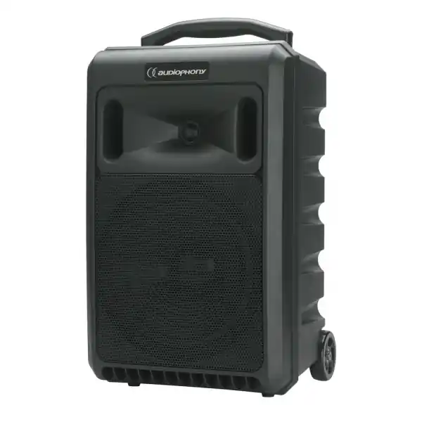 AudiophonyPASS-SPRINT Livraison Express