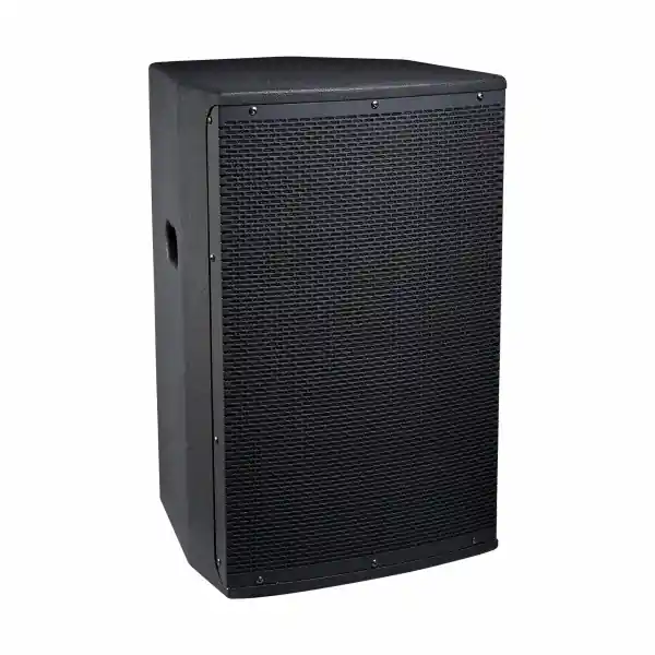 Definitive AudioKOALA 12AW DSP Affaire À Saisir