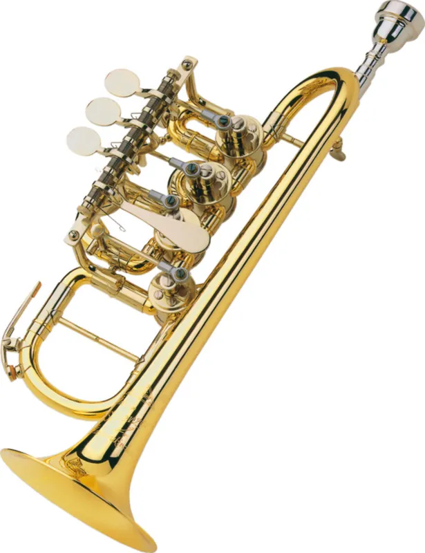 Scherzer 8112GKL Offre Exclusive