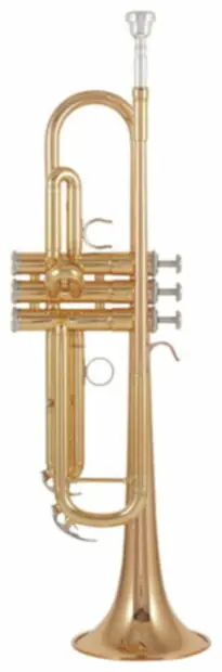 Dernière Chance YAMAHA Trompette Sib YTR4335GII