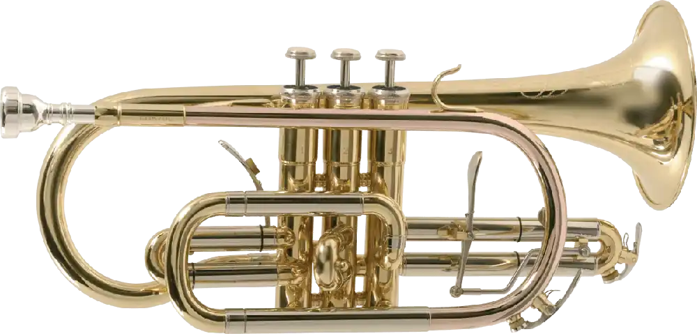 Usine Directe SML Paris CO870-L Cornet Triggers Laiton verni