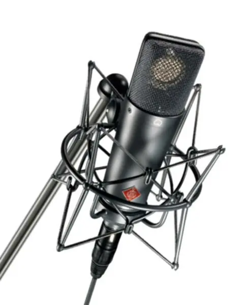 Commander Maintenant Neumann TLM 193