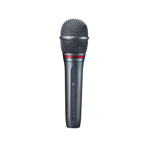 Audio-TechnicaAE6100 Dernière Chance