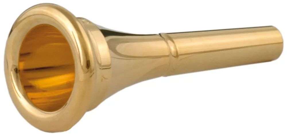 Seulement Aujourd'hui Denis Wick 48855 - classic aurifiée 5 - embouchure cor