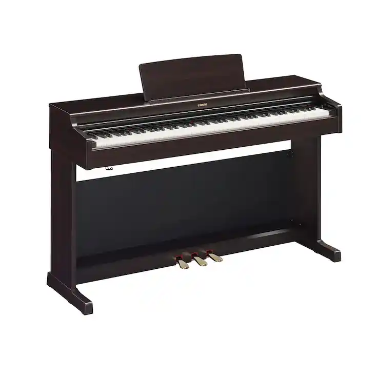 Nouveauté YAMAHA ARIUS YDP165R