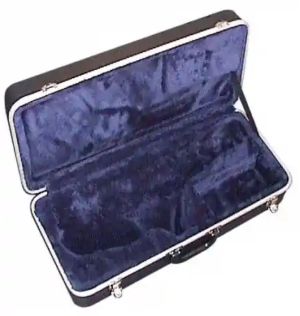Vente Flash DISCONTINUE Stagg ABS AS - étui en ABS pour saxophone alto