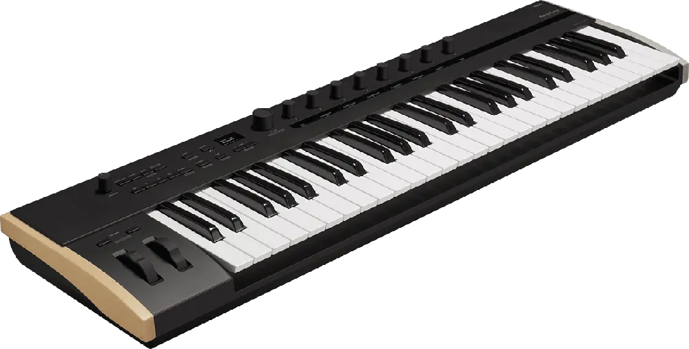 Acheter Direct Korg KEYSTAGE-49 49 touches
