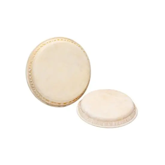 Fuzeau 7155 - Peaux de rechange pour bongo Must-Have