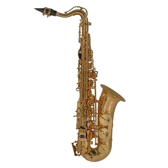 Réduction Roy Benson AS-201 - Saxophone Alto Mib pour enfant Student Series