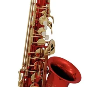 Meilleur Prix Roy Benson AS-202R - Saxophone Alto Mib Student Series