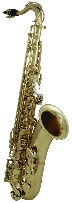Meilleur Prix Roy Benson TS-202 - Saxophone ténor Student Series