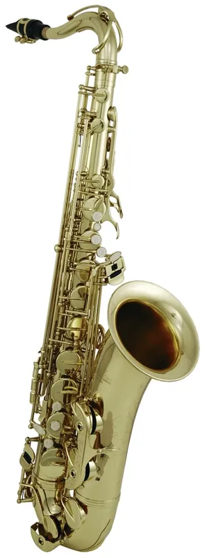 Roy Benson TS-302 - Saxophone ténor Pro Series Dernier Modèle