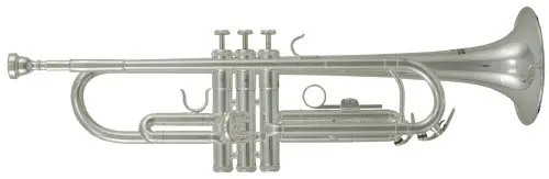 Nouvel Arrivage Roy Benson TR-202S - Trompette sib Student pro series argentée