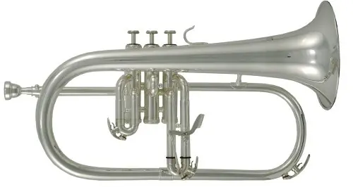 Achetez Aujourd'hui Roy Benson FH-302S - Bugle en sib pro series argenté