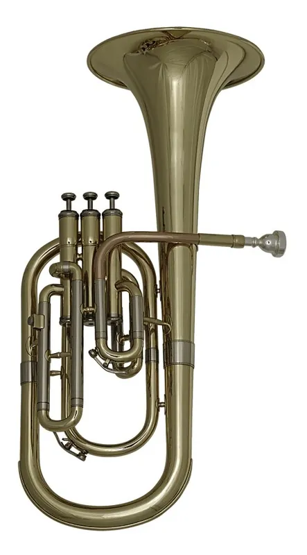 Roy Benson AH-301 - Alto mib student series Bon Marché