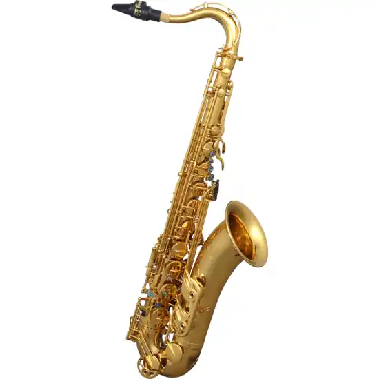 Meilleur Prix SML Paris T620-II - Saxophone ténor verni gold