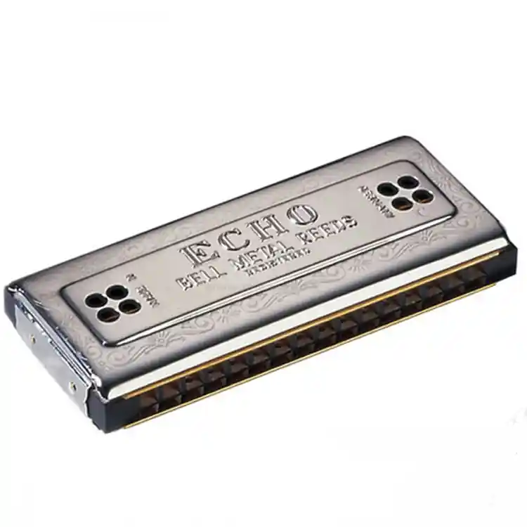 Pas Cher Hohner Echo double en do et sol 32