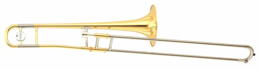 Offre Limitée YAMAHA YSL-354SECN