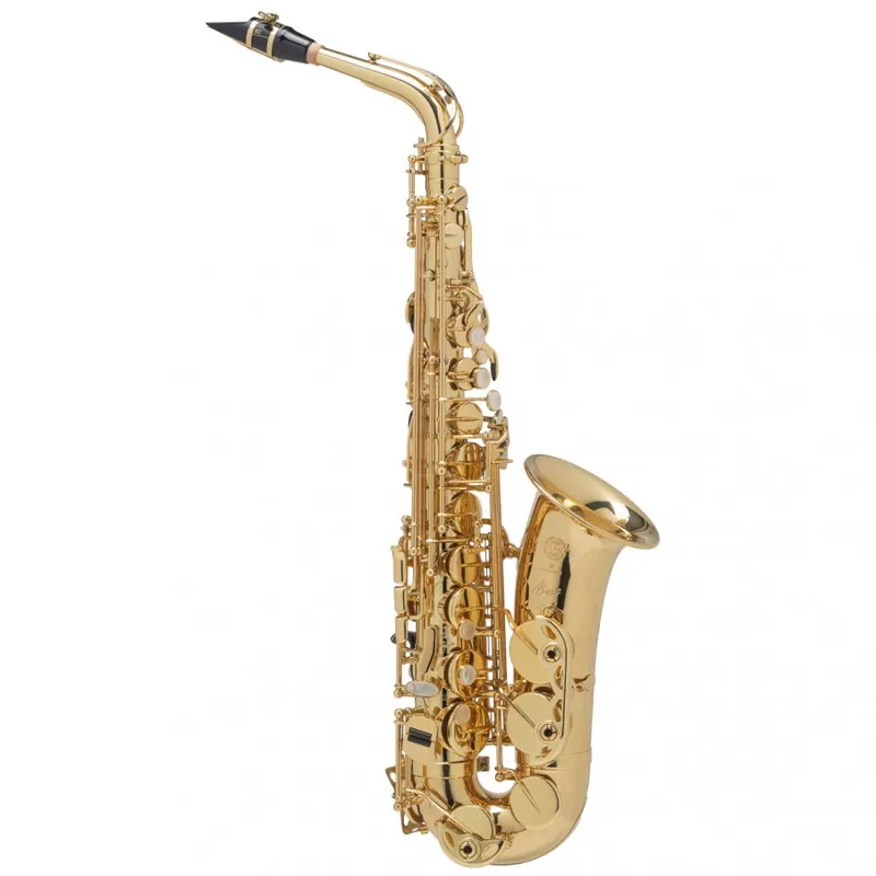 Expédié Aujourd'hui Selmer Saxophone Alto Axos