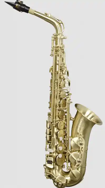Quantité Limitée SML Paris Saxophone Mib étudiant verni