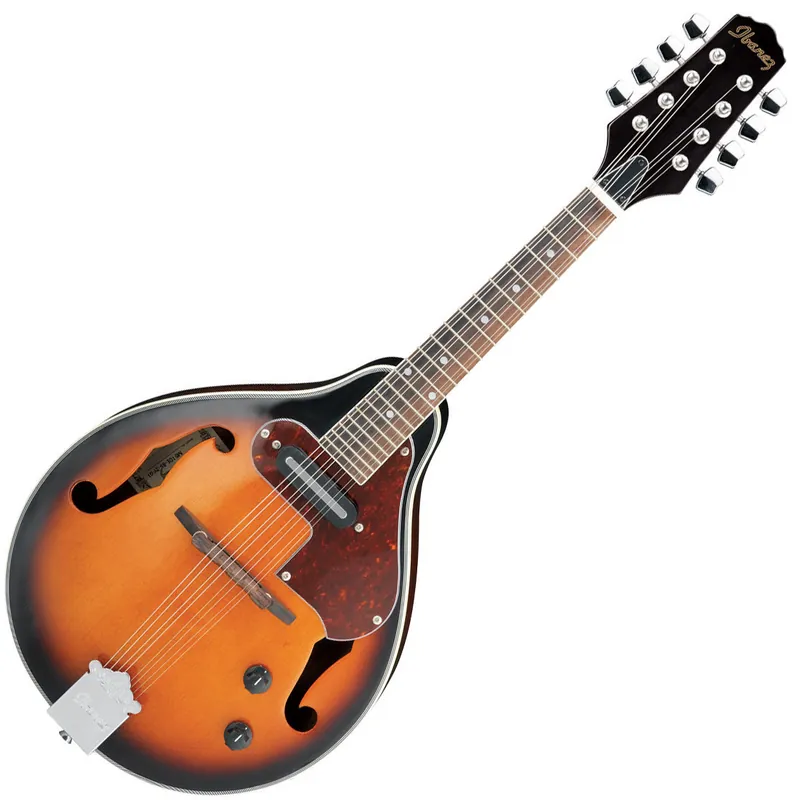 Achat Immédiat Ibanez Mandoline électro-acoustique M510EBS