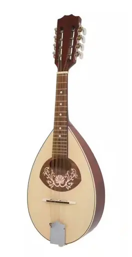 Commander Vite VGS Mandoline modèle 1