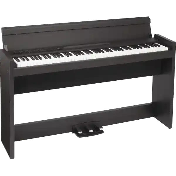 Seulement Aujourd'hui KorgLP-380U (BOIS DE ROSE)
