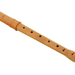 Mollenhauer 2206 Flûte à bec alto Canta en poirier Prix Choc