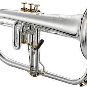 Meilleure Vente XO XO1646RG Bugle Professionnel Plaqué Argent, finitions plaquées Or - Pavillon cuivre rose