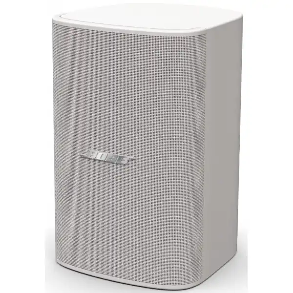 Bose ProfessionalDesignMax DM6SE (Blanche) - La Paire Usine Directe
