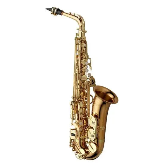 Yanagisawa A-WO2UL PROFESSIONAL - Saxophone Alto - Bronze non verni Prix Cassé