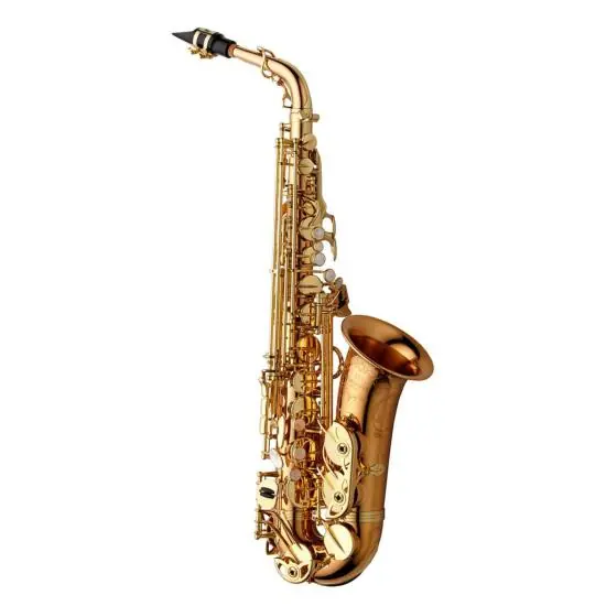 Offre Limitée Yanagisawa A-WO20 ELITE - Saxophone Alto - Bronze verni