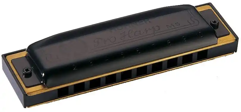 Populaire Hohner Pro Harp en Sol