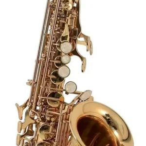 Top Vente Roy Benson SG-302 - Saxophone soprano courbe Pro Series
