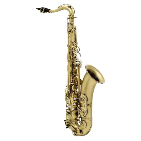 Achat Immédiat Buffet Crampon BC8402-4 - Saxophone ténor brossé verni avec étui sac à dos